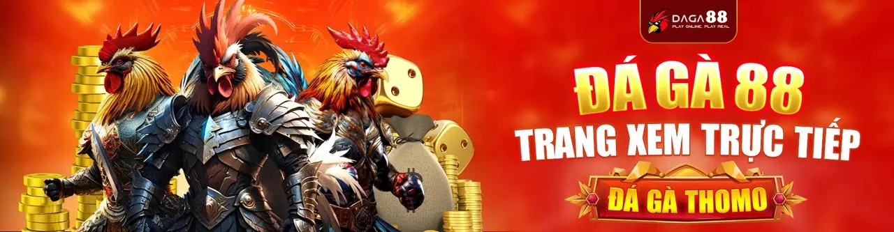 Đá gà trực tuyến winclub win - Trận đấu kịch tính